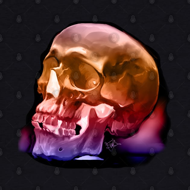 Skull Study 4 by Shawnsonart